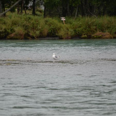 קנאי Salmon Catcher Lodge מראה חיצוני תמונה